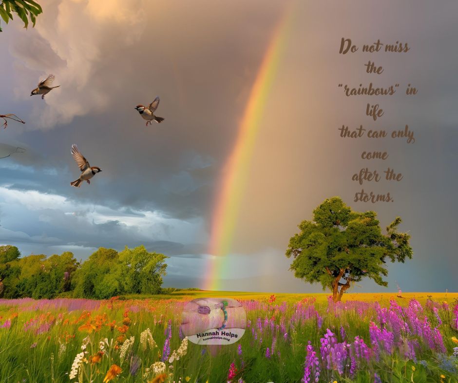 Don’t Miss the “Rainbows”