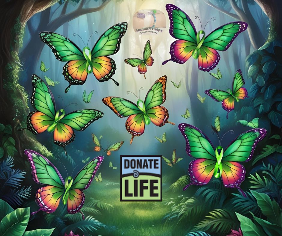 Our Organ Donation&nbsp;Experience