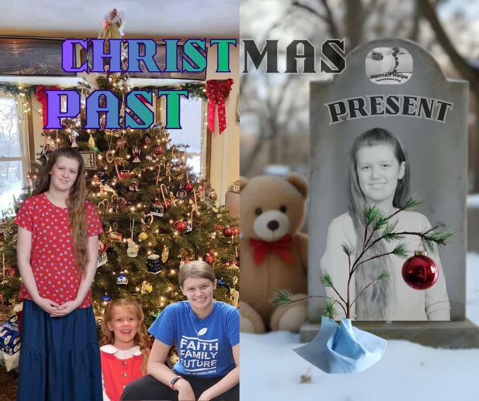 A New Christmas&nbsp;Tree